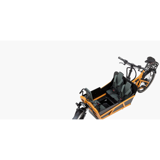 Riese & Muller Load4 75 vario GX 800Wh Tundra Grey Matte OS