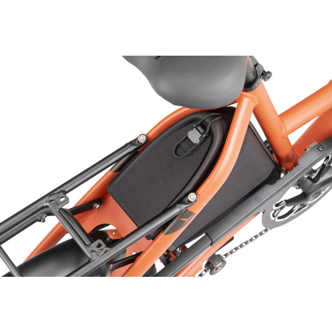 Tern Carryall Trunk for Short Haul