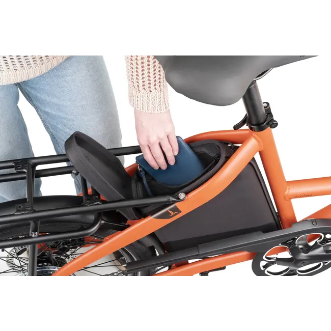 Tern Carryall Trunk for Short Haul