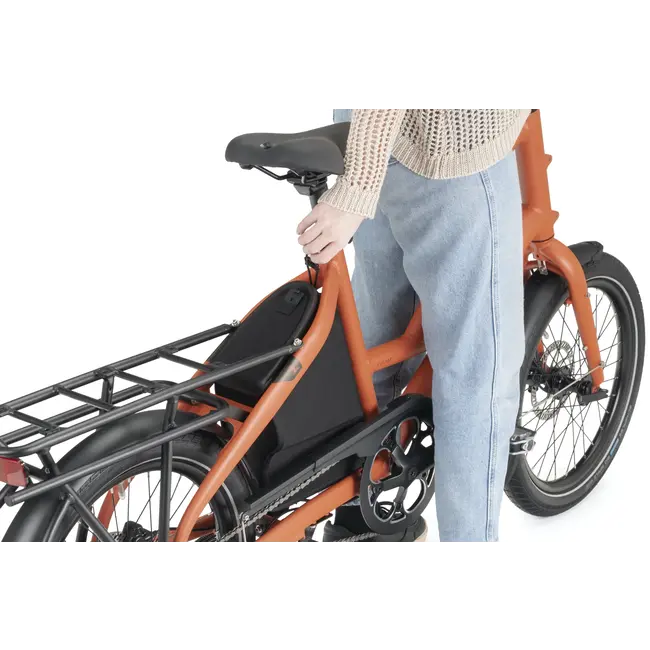 Tern Carryall Trunk for Short Haul