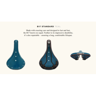 Brooks B17 Special Edition Saddle Teal