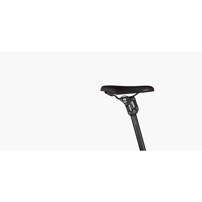 Riese & Muller Tinker2 Vario 545Wh Crystal White DEMO