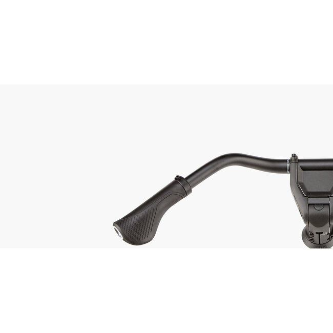 Riese & Muller Charger5 Mixte Vario 800Wh 45cm Magnesium