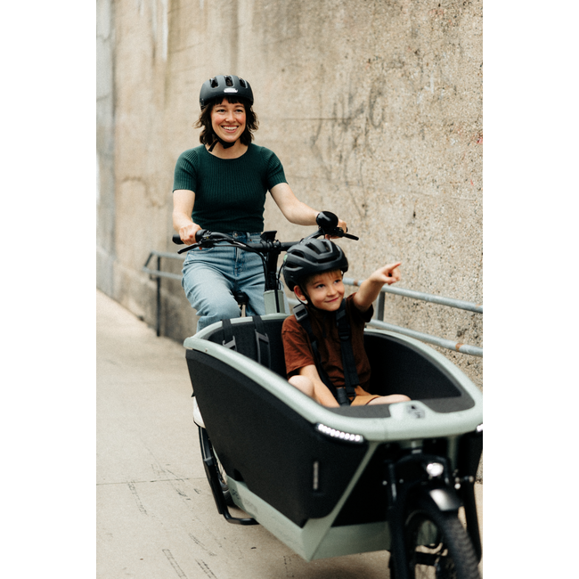 Urban Arrow FamilyNext Pro
