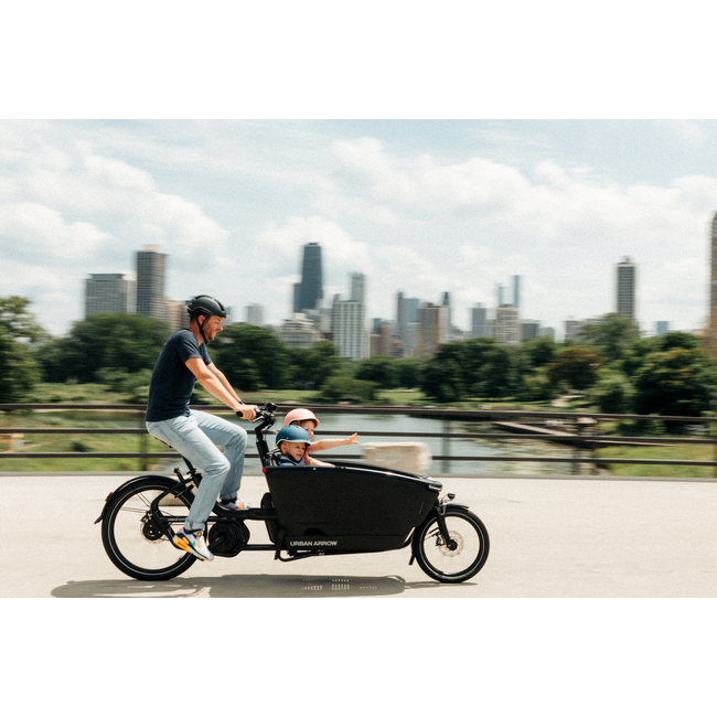 Urban Arrow FamilyNext Pro