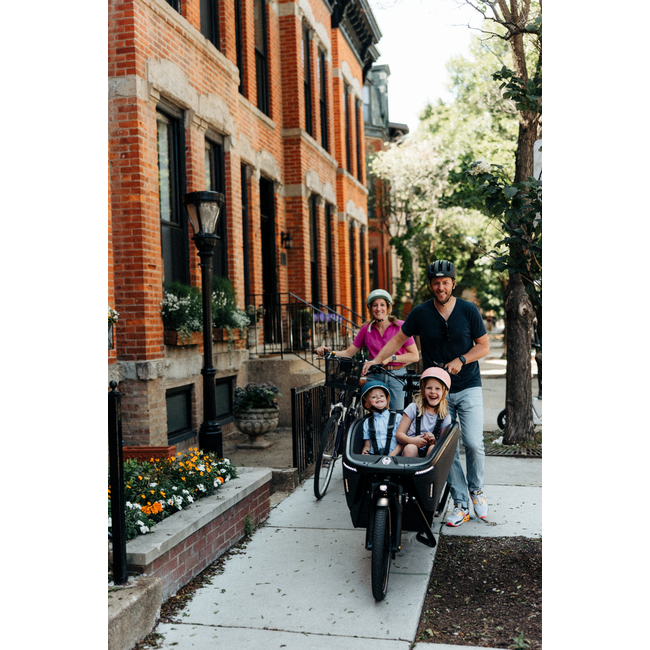 Urban Arrow FamilyNext Pro