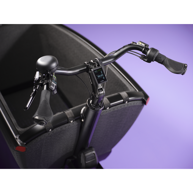 Urban Arrow FamilyNext Pro