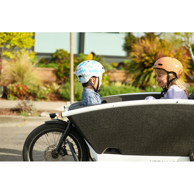 Urban Arrow Family Performance Line