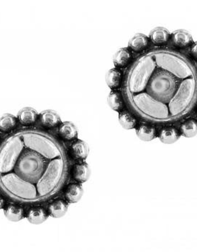 Twinkle Mini Post Earrings in Zircon