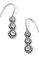 Twinkle Splendor French Wire Earrings