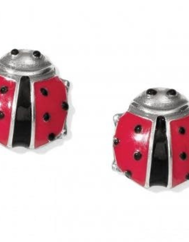 Spring Ladybug Mini Post Earrings