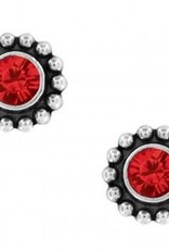 Twinkle Mini Post Earrings in Ruby