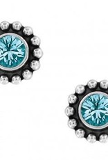 Twinkle Mini Post Earrings in Zircon