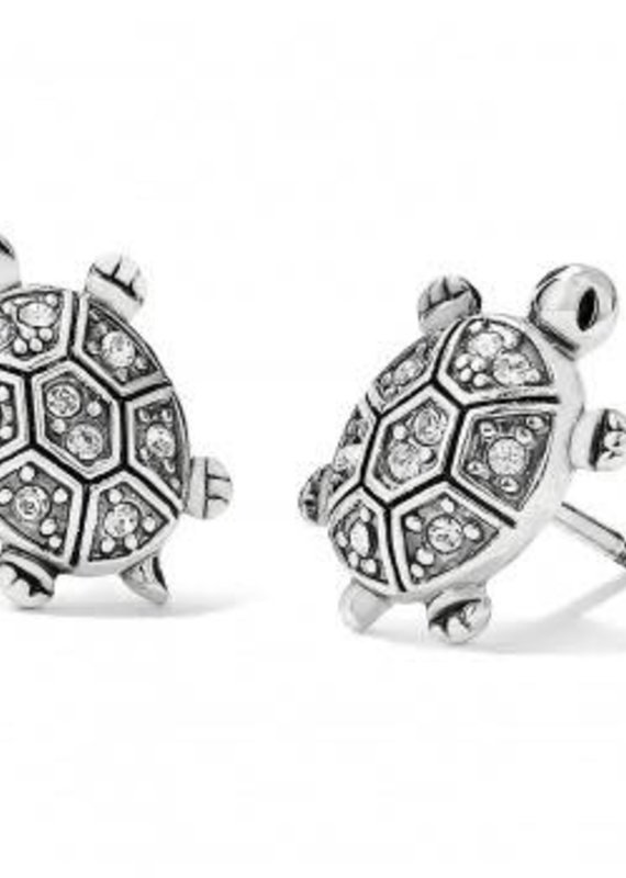 Fortune Turtles Mini Post Earrings