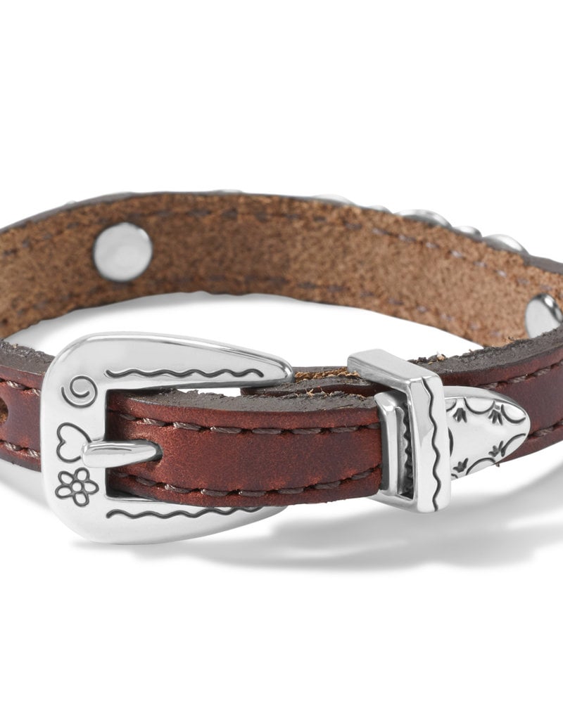 Harmony Bandit in brown