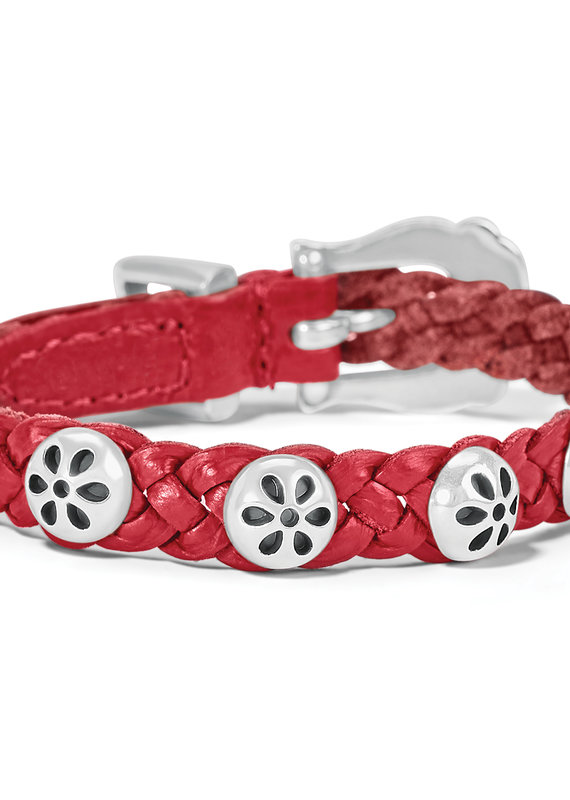 Daisy Bandit in Lipstick