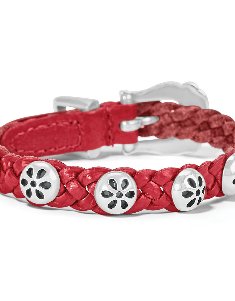 Daisy Bandit in Lipstick