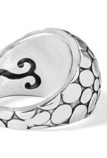 Pebble Ring
