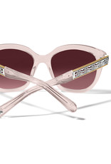 Intrigue Rosewater Sunglass