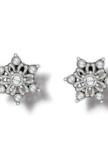 Arctica Mini Post Earrings