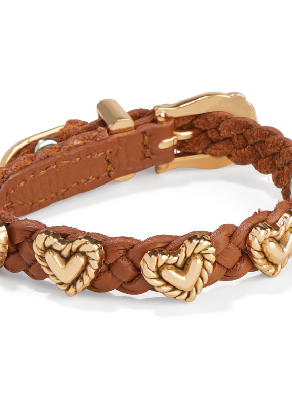 Roped Heart Bandit in Luggage/gold