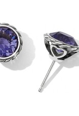 Iris Stud Earring in Tanzanite