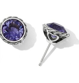 Iris Stud Earring in Tanzanite