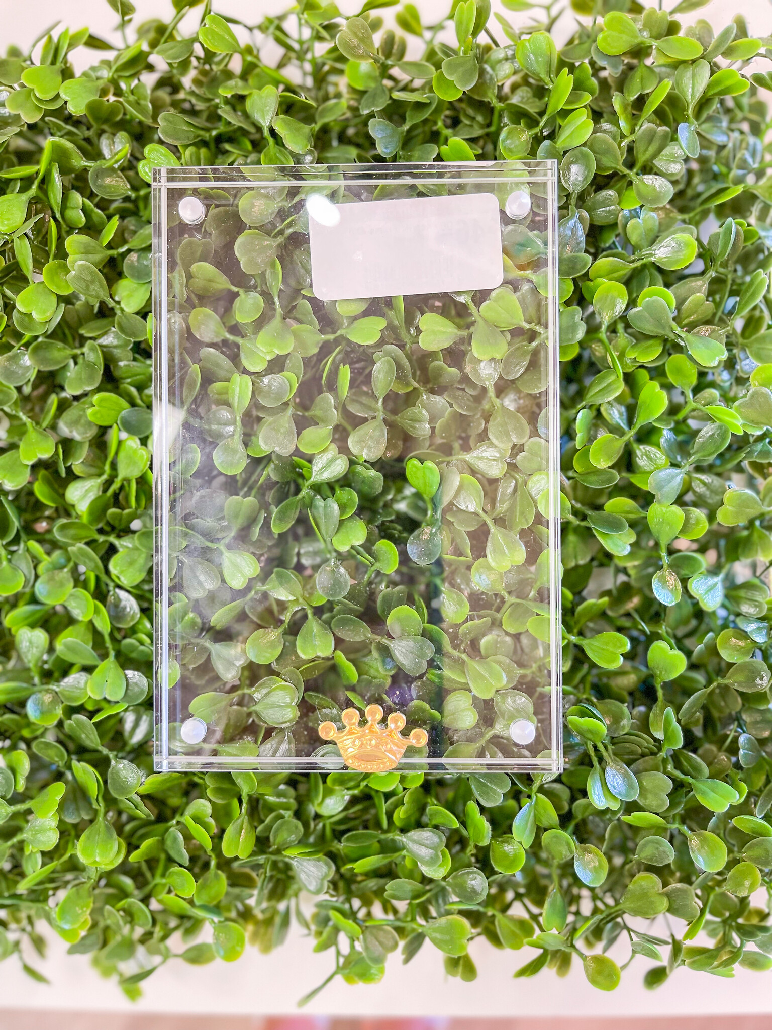 Acrylic Frame 4X6 w/Crown j.hoffman's