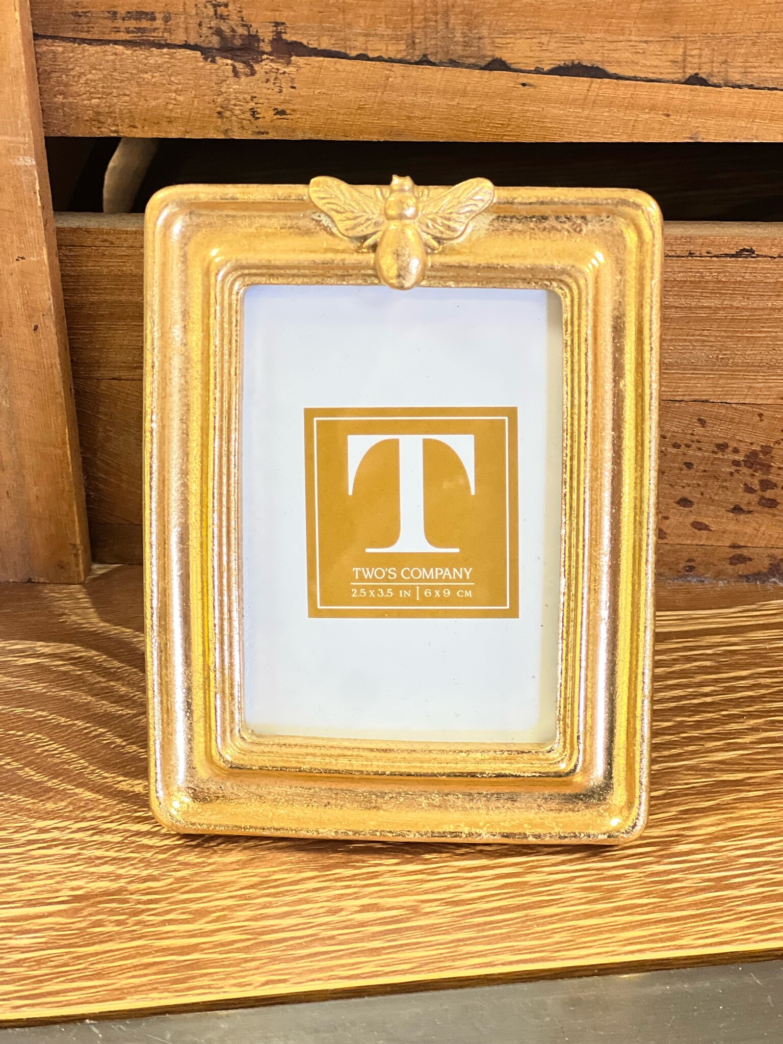 Two's Company Bee-utiful Set of 2 Photo Frames, Gold