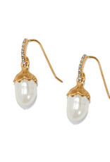 Everbloom Pearl Drop French Wire in Gold
