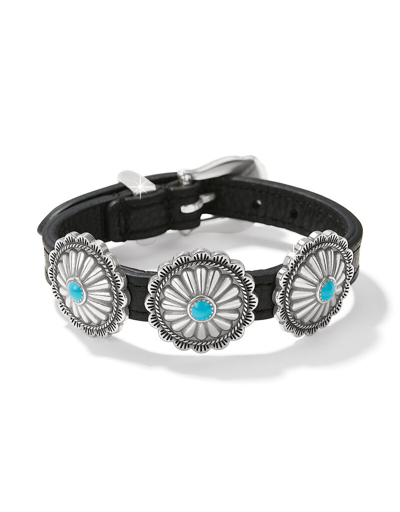 Mosaic Paseo Bandit in Black