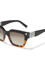 Contempo Dot Dual Sunglass