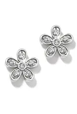 Enchanting Flower Post in Silver