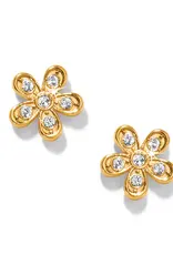 Enchanting Flower Post in Gold