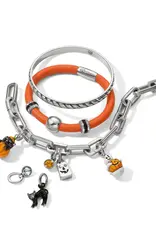 Purrfect Pumpkin Charm