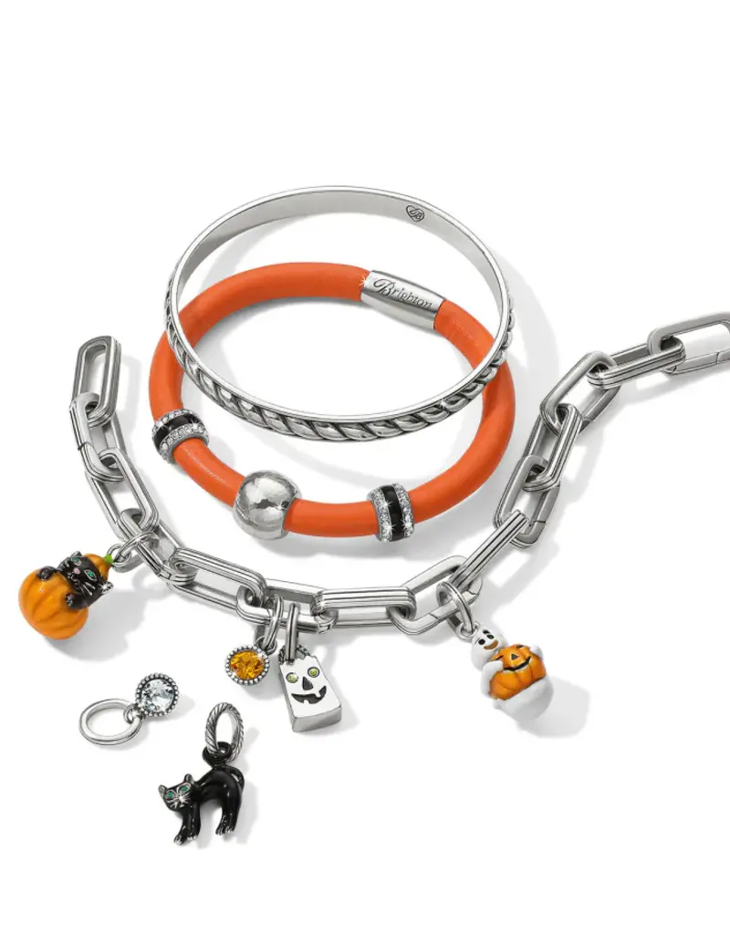 Purrfect Pumpkin Charm