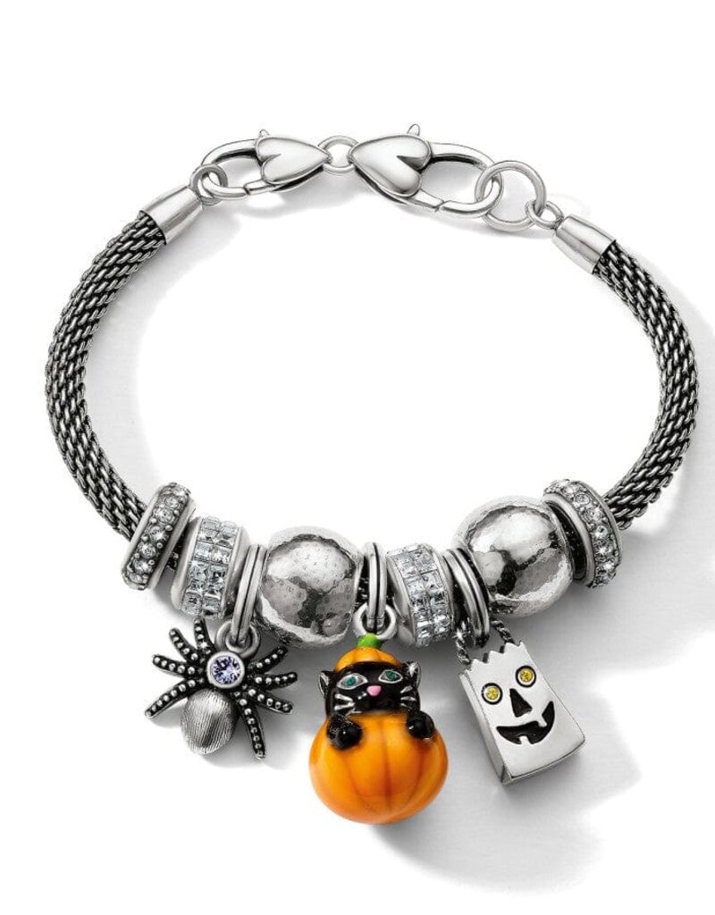 Purrfect Pumpkin Charm