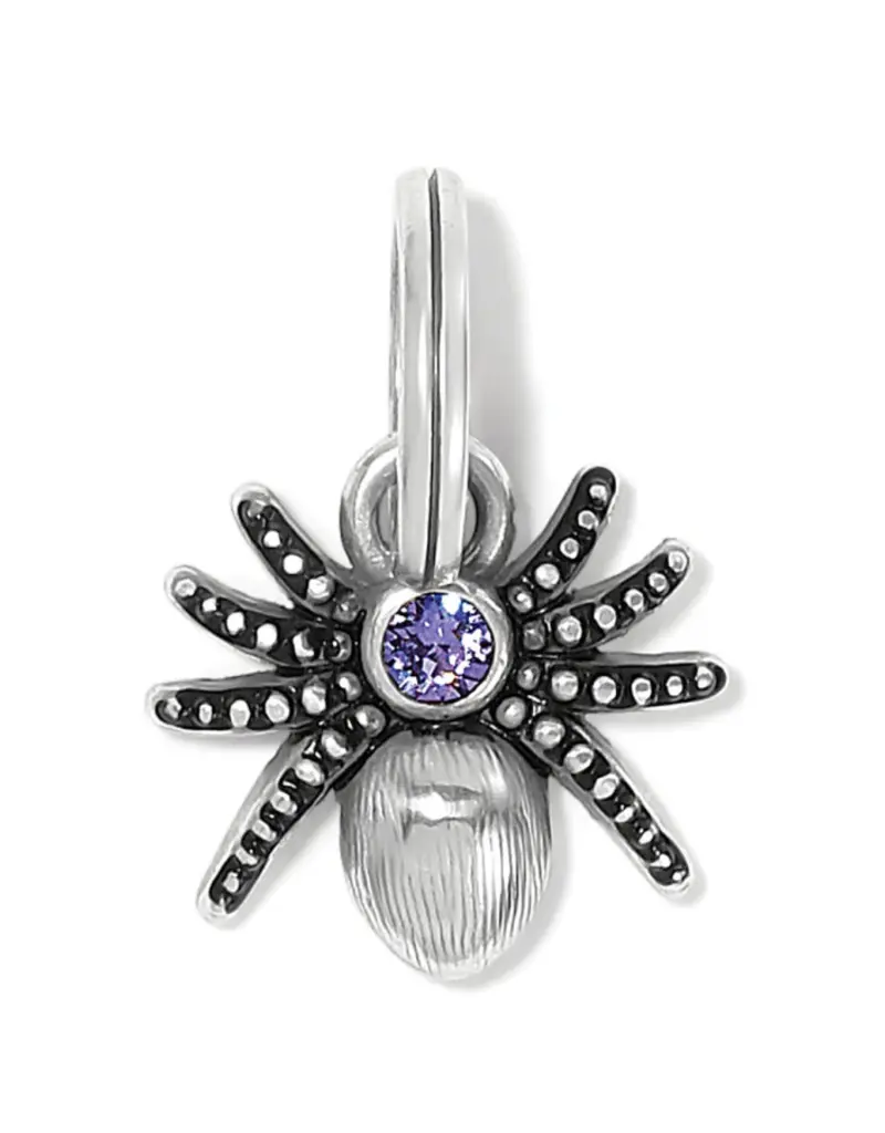 Spooky Spider Charm