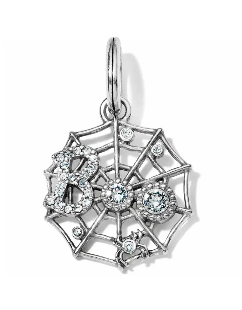Spider Web Charm