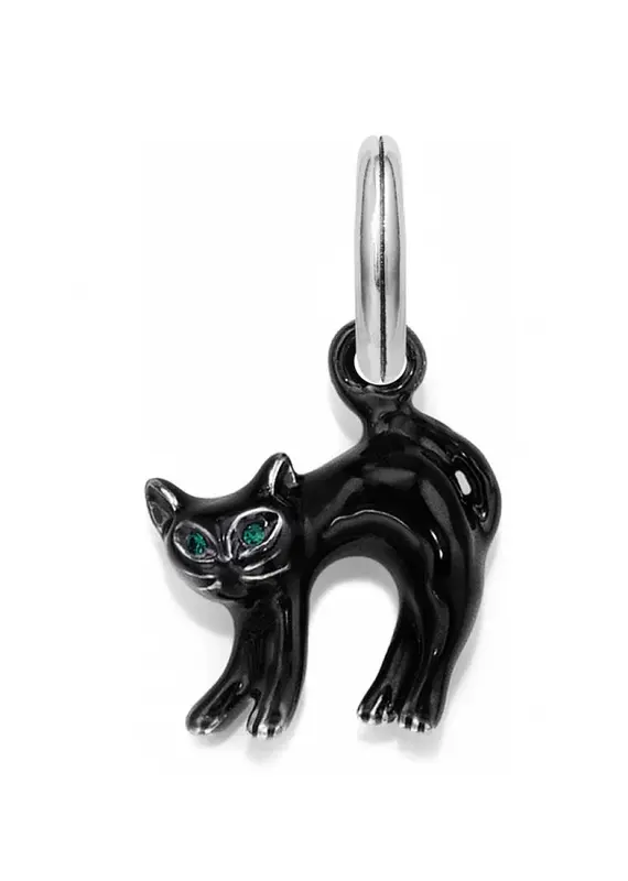 Scaredy Cat Charm