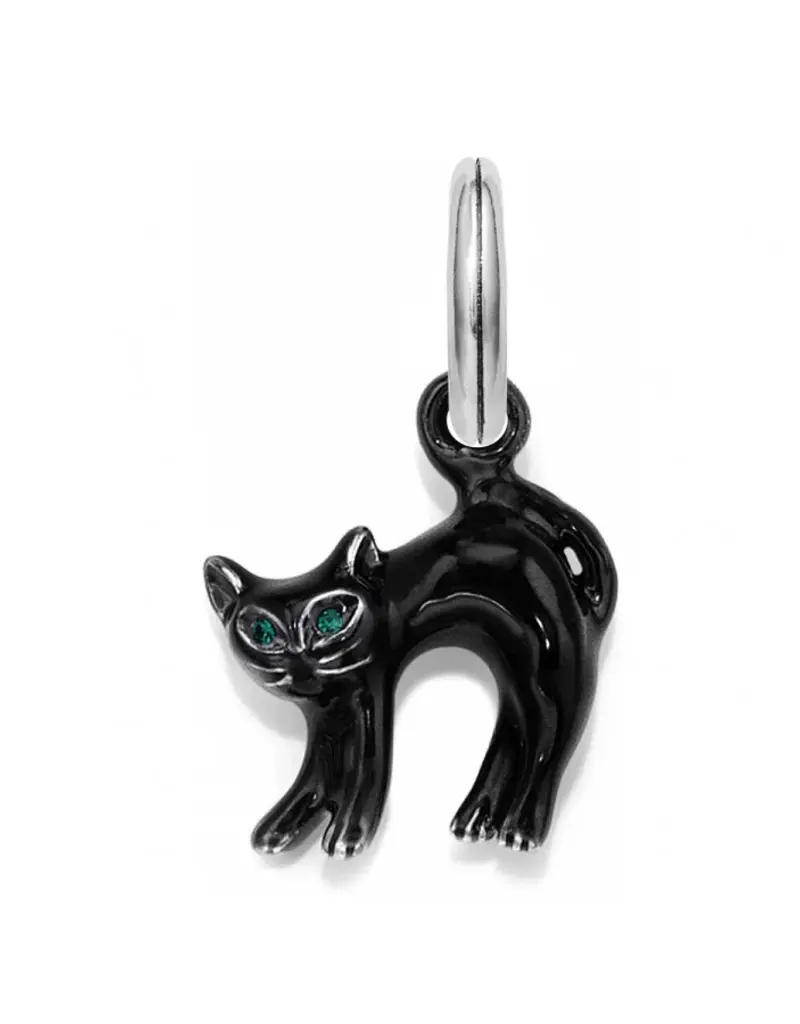 Scaredy Cat Charm