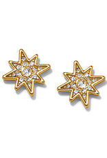 Enchanting Star Post Earring in Gold