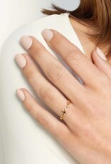 J.HOFFMAN'S Chain Breaker Cross Ring