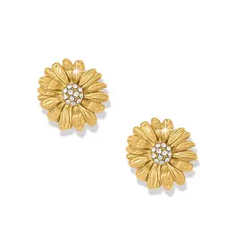 Daisy Dee Post Earring in Gold