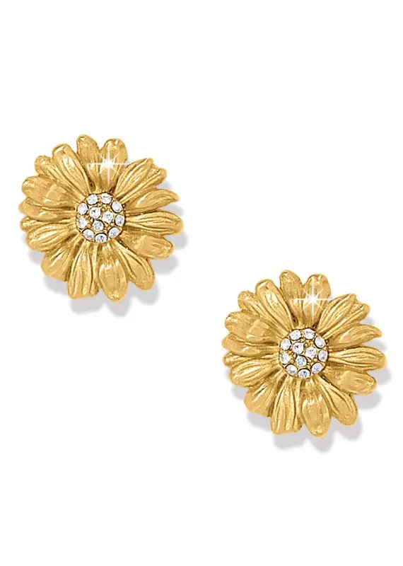Daisy Dee Post Earring in Gold