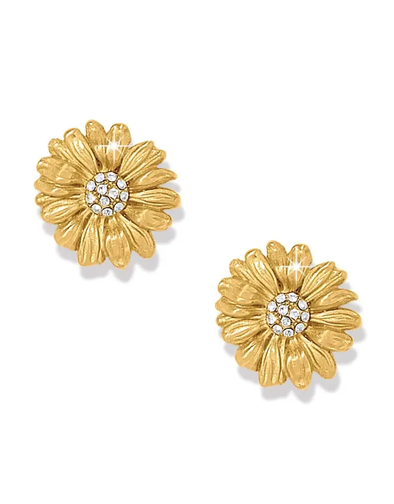 Daisy Dee Post Earring in Gold
