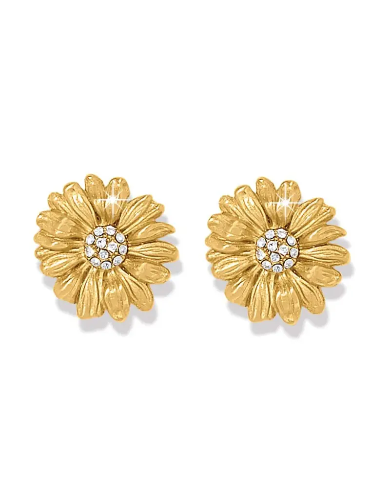 Daisy Dee Post Earring in Gold