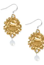 Daisy Dee French Wire in Gold