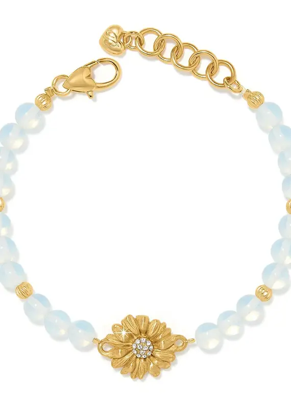 Daisy Dee Bracelet in Gold
