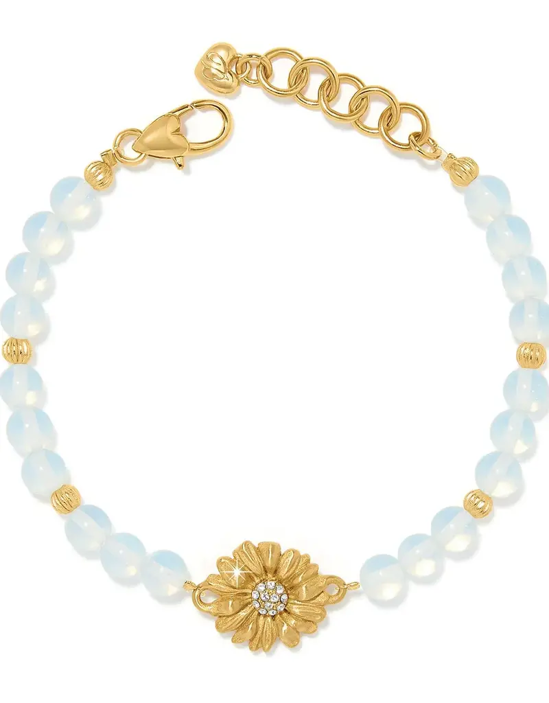 Daisy Dee Bracelet in Gold
